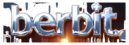 berbit logo